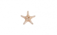 Beach Wedding Natural Starfish Sea Star Hair Clip Hair Accessories, 5.95, Groupon,